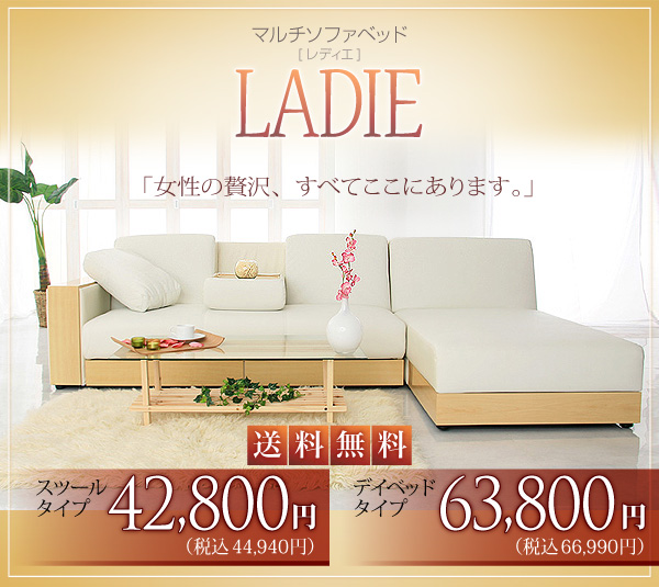 �}���`�\�t�@�x�b�h�yLADIE�z�@���f�B�G