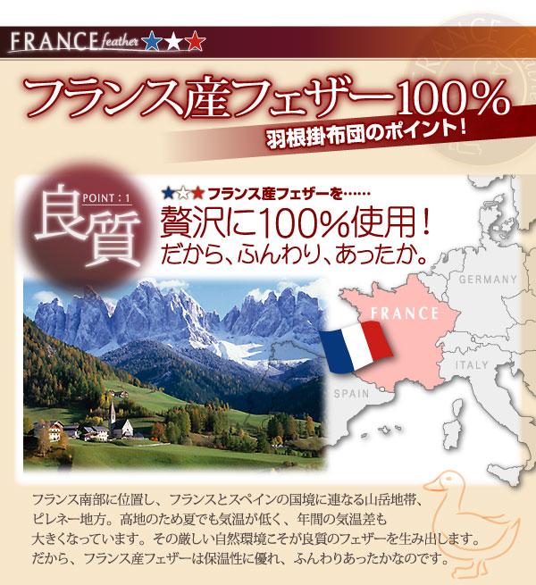 �t�����X�Y�t�F�U�[100%�H���|�z�c�k�[�h�^�C�v