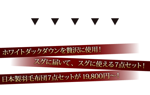 �H�ѕz�c