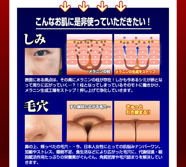 �v���Z���^�@�yPLACENT�@�z