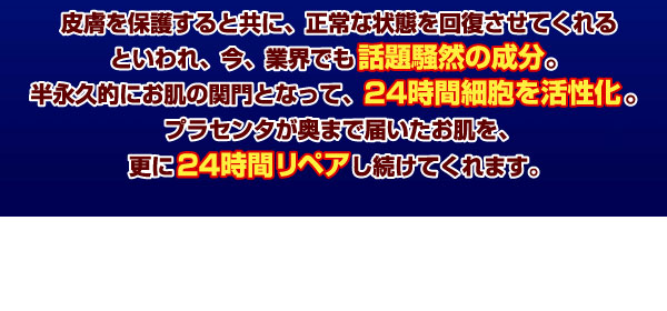 �v���Z���^�@�yPLACENT�@�z