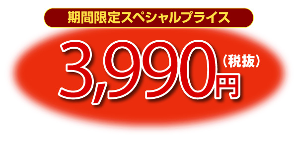 �`�[�Y�P�[�L�o�[